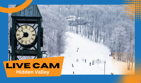 webcam springmountain copy