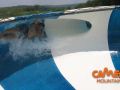 Camelbeach Vortex