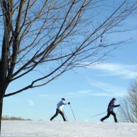 Cross Country Skiing 1