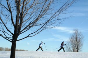 Cross Country Skiing 1