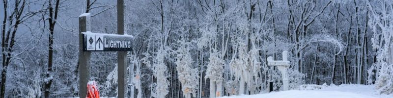 20240130 jfbb nape  min