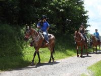 Seven Springs Mountain Resort, Champion