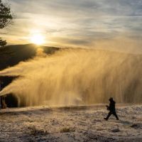 20231125 wt beard 0007 720x405 7b28e819 7f62 42b5e f9d2d029a72e min