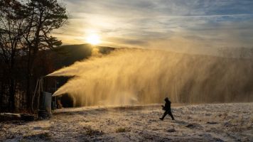 20231125 wt beard 0007 720x405 7b28e819 7f62 42b5e f9d2d029a72e min