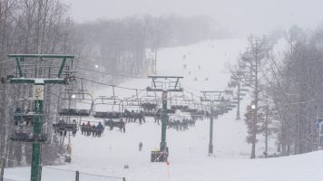 20240119 wt beard 0015 720x405 3bf22e664bc 4b61 a808f3e299d8221 min