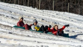 20240204 wt beard 0027 720x405 ffcd588a d6f2 4a0d 8bf1fb31ab544 min