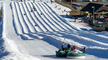 20240204 wt beard 0029 720x405 a400639b bed4 4b7e 8589ad1c0cd175a min