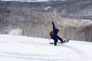 20240217 wt beard 0020 720x480 1a407b58 cb85fd3 9864f2817eed101 min