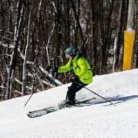 20240218 wt beard 0007 720x405 bf1c5c4b e53a 4297853d9e8557a82a min