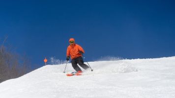 20240218 wt beard 0017 720x405 29c4cb4b f94d 4a0e a601b3cc0eac0b min