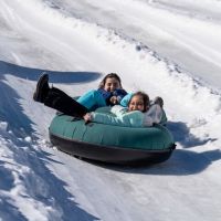 20240218 wt beard 0045 720x480 ef4f1591 a785 4429 a0a2cd8a63a0a9e min