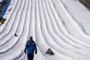 20240219 wt beard 0001 720x480 6ec30da7 e8d6 4cafec4 ab0bf04b162a min