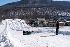 20240219 wt beard 0007 720x480 6617a796 bffb 4592 9a6db02ad3cae8e min