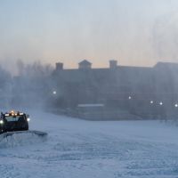 20240225 wt beard037 720x480 c591ceb7 f235 417d b92dc123b34f0fa min