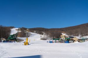 20240228 wt beard 0001 720x480 f16fa6b1 2e59 4e36 90d1d5cab7344 min