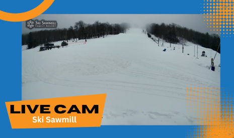 webcam springmountain copy