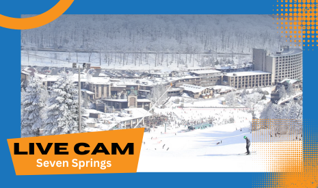 webcam springmountain copy
