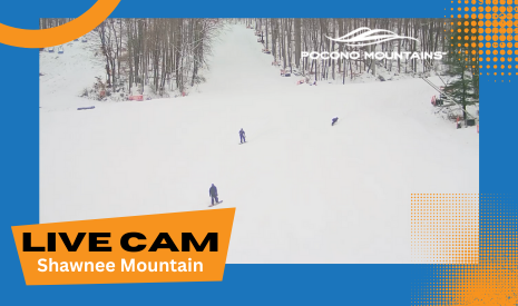 webcam springmountain copy