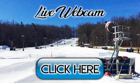 webcam springmountain copy